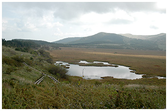 八島ヶ原湿原