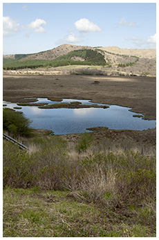 八島ヶ原湿原